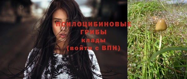 прущие крисы Заволжск