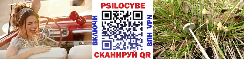Псилоцибиновые грибы Cubensis  купить   Рубцовск 